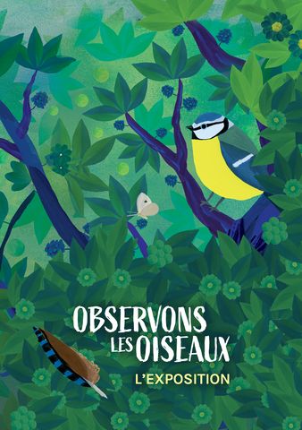 Expo observons les oiseaux.jpg